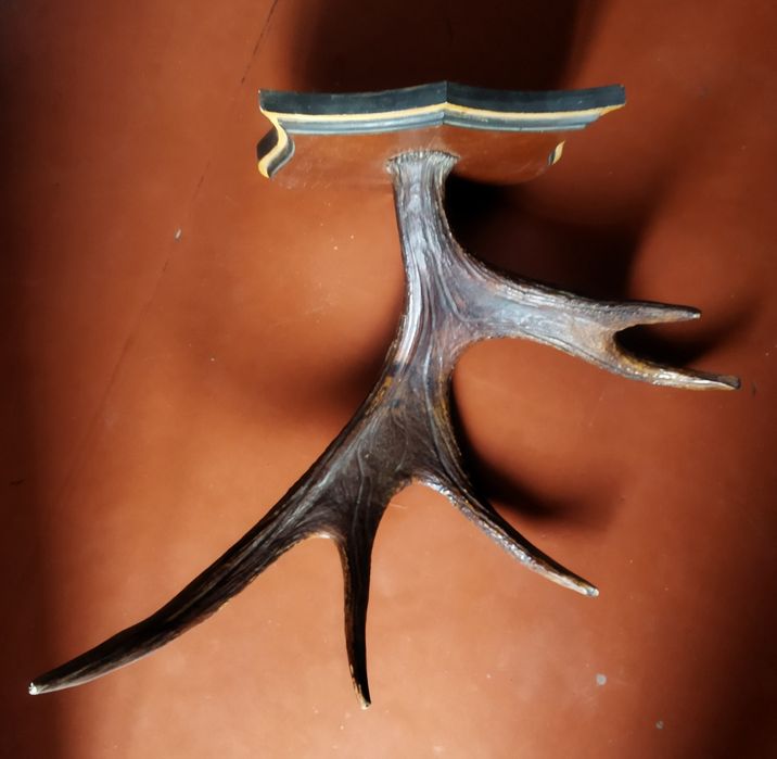 Рога оленьи. Вешалка.