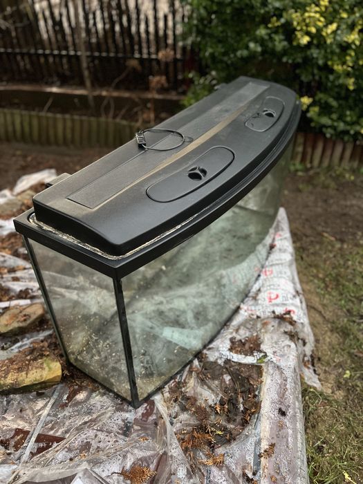 Akwarium profilowane 240 l + gratisy