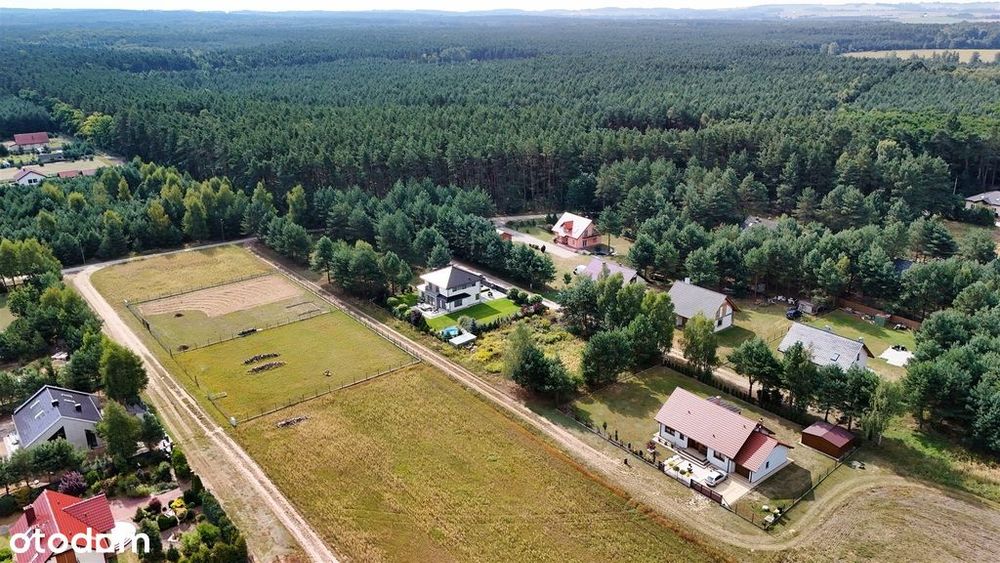 Pęciszów koło Trzebnicy/otoczenie lasów