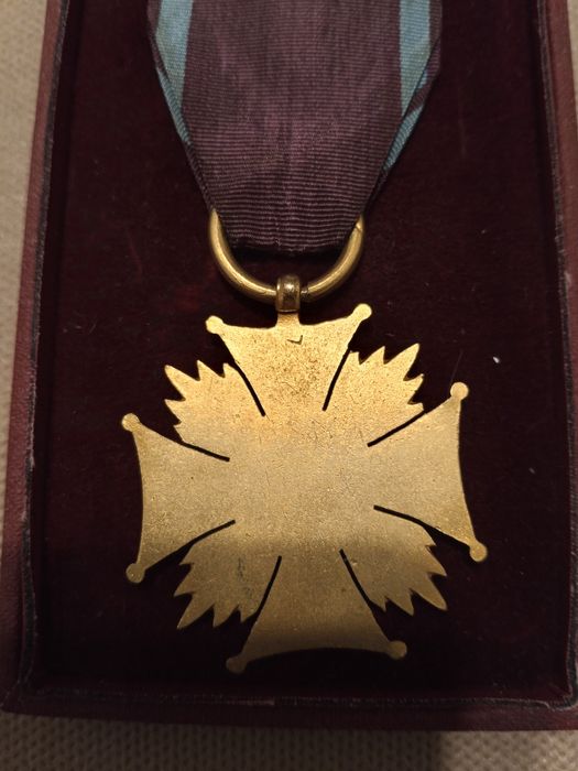 Złoty krzyż zasługi Cięty