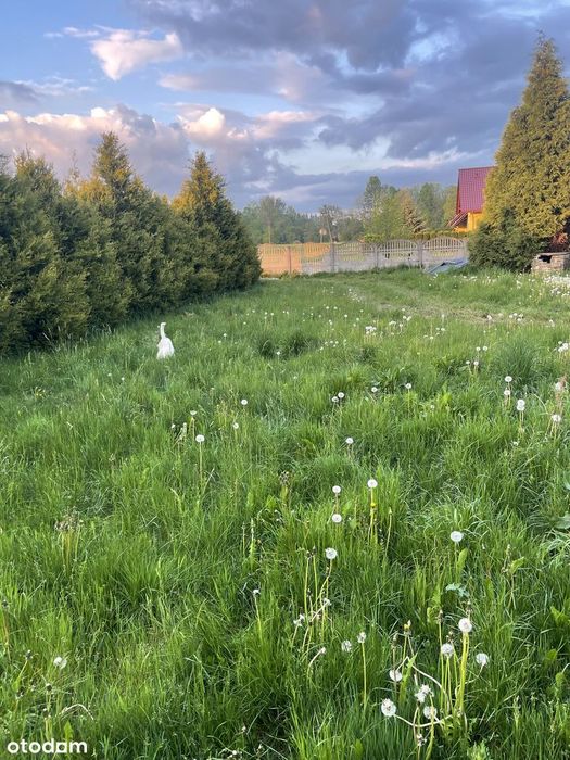 Mała działka budowlana, ogrodzona, media, dojazd!