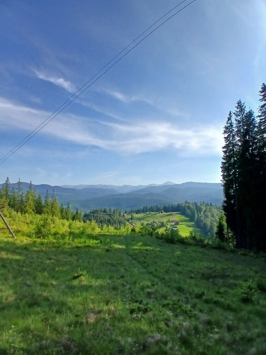 Кінні прогулянки Ворохта Буковель