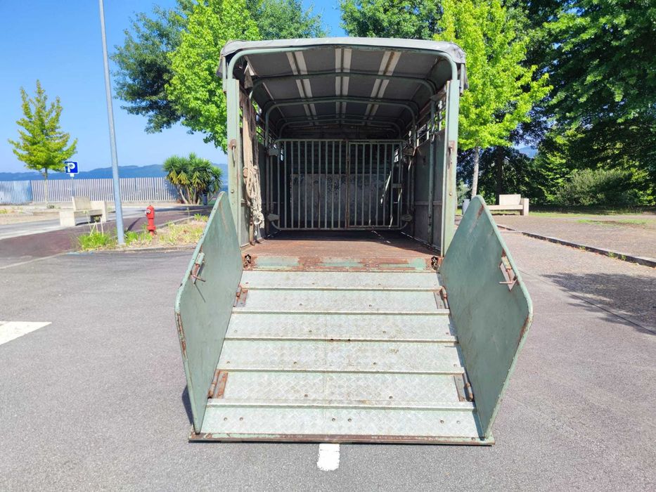 Carrinha DYNA 250 (transporte de animais)