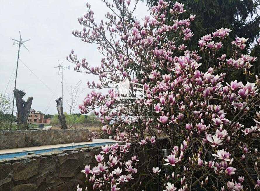 Сдается ДОМ с выходом НА ДНЕПР, бассейн, пляж КОНЧА-ЗАСПА