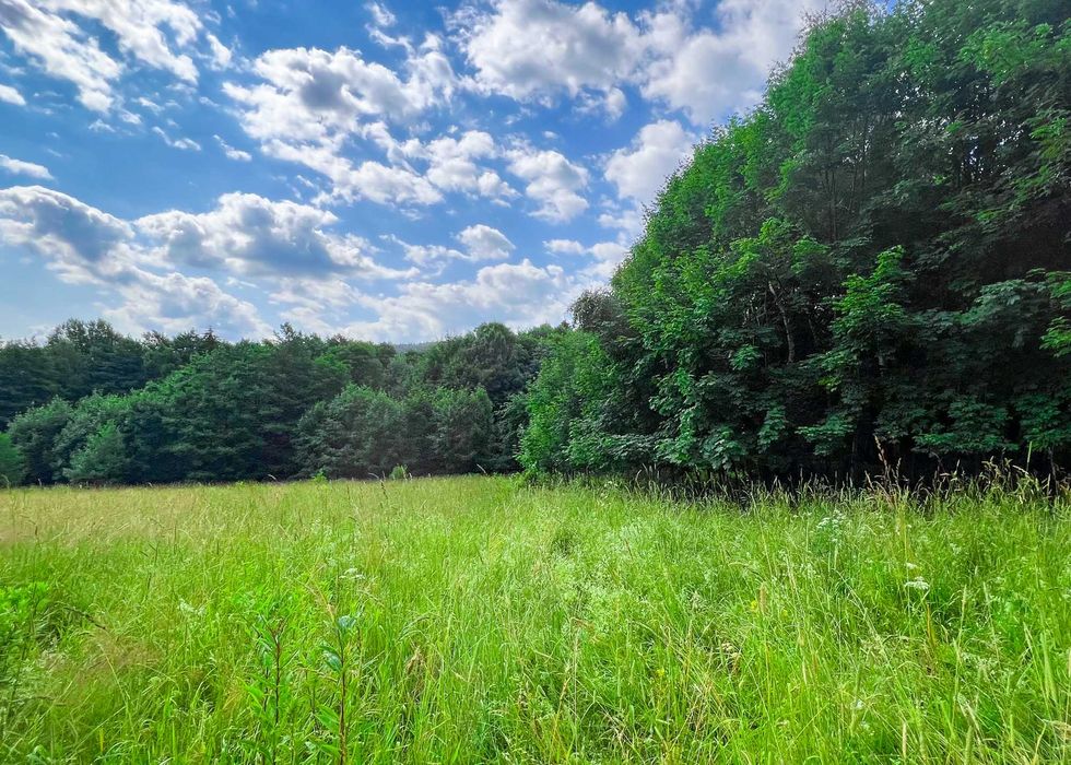 Działki budowlane rekreacyjne Nowa Bystrzyca Spalona 0,56ha