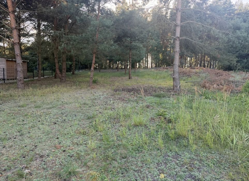 Sprzedam piękną działkę pod lasem w Piastowie(video) - Widok 5