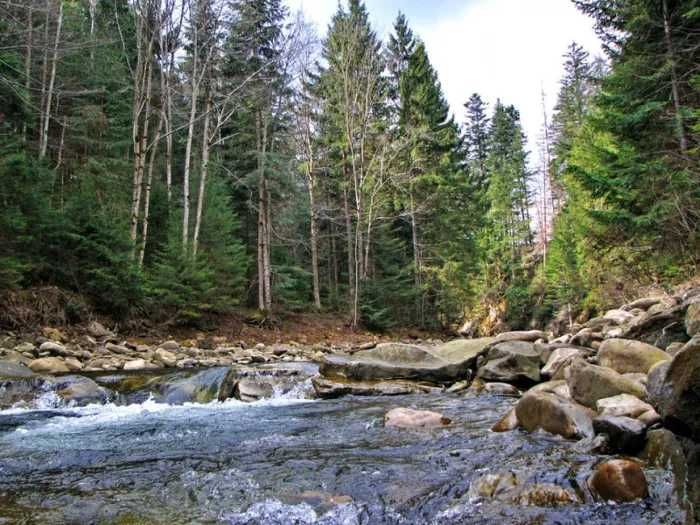Земельна ділянка в селі Стара Гута