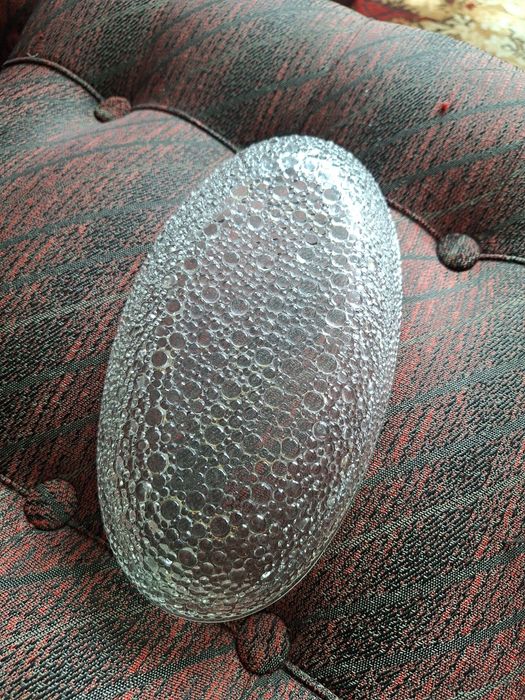 Paterka Asteroid