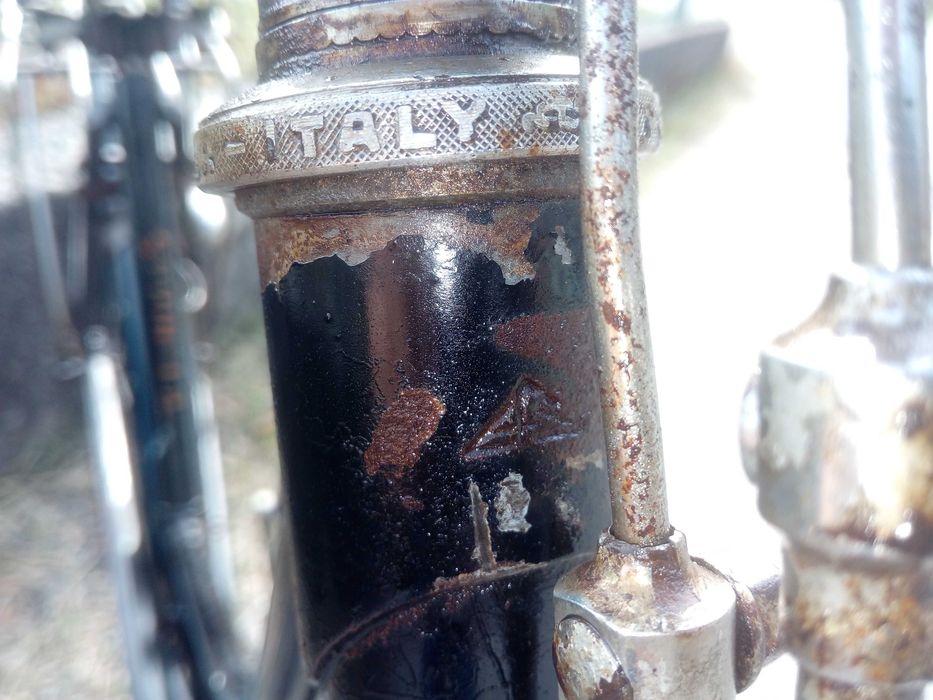 Bicicleta Pasteleira de Senhora