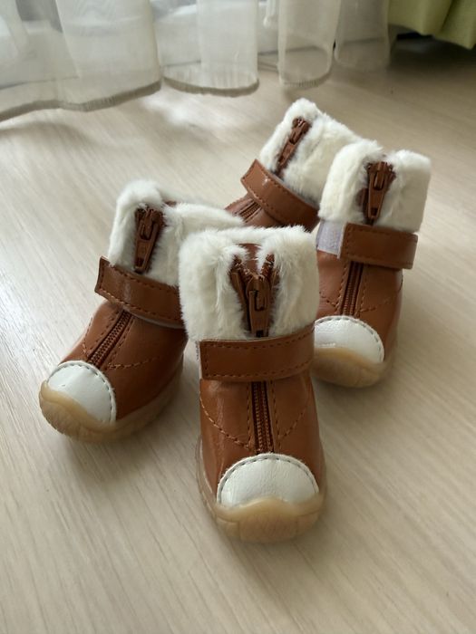 Взуття зимова для собак