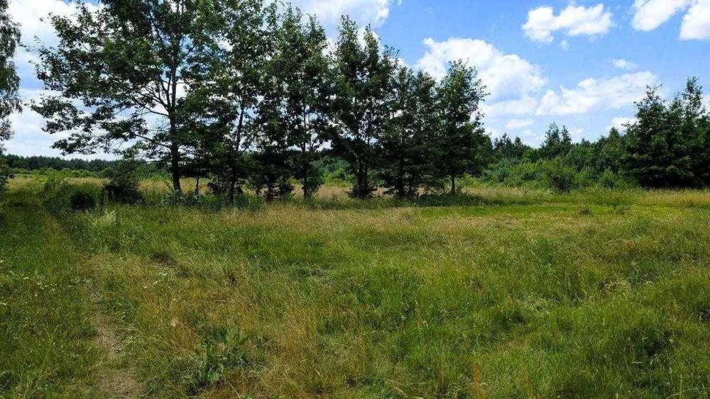 Продаж земельної ділянки Рудно