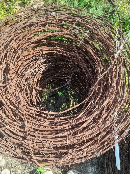 Колюча проволока