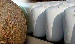 Wysłodki buraczane w belach