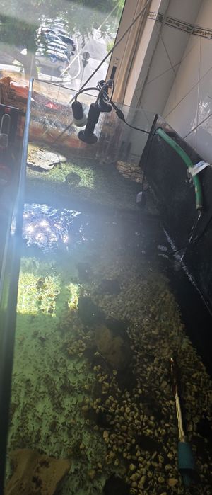 Aquario de 165cms com movel e Sump