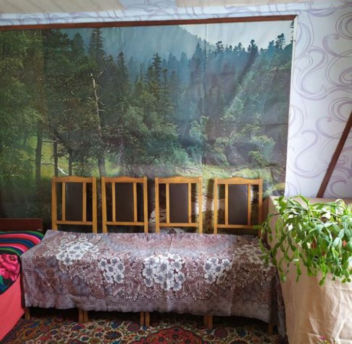 Велика земельна ділянка,дача з будиночком