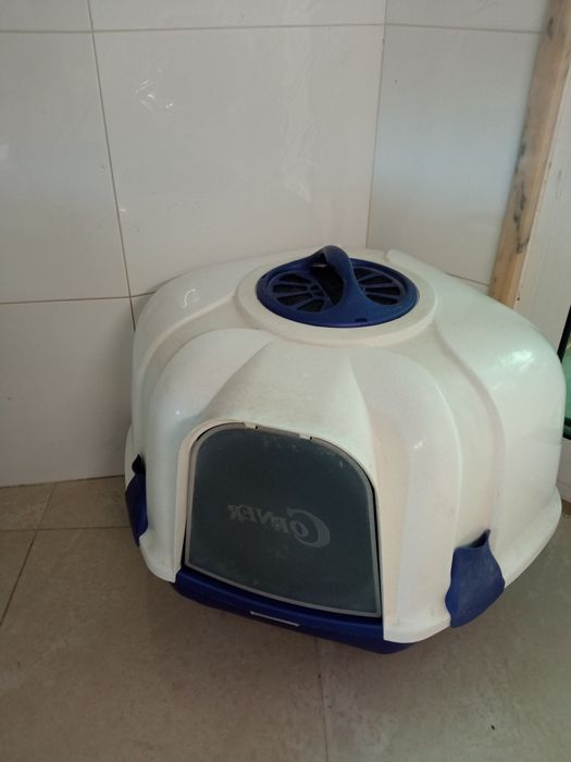 W C. de canto Grande  gatinhos