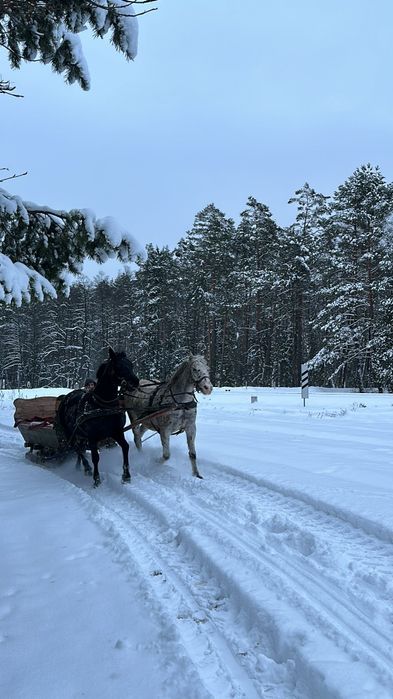 Kulig po Roztoczu 400 zł
