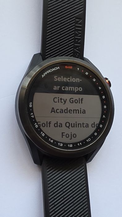 Garmin Approach S42