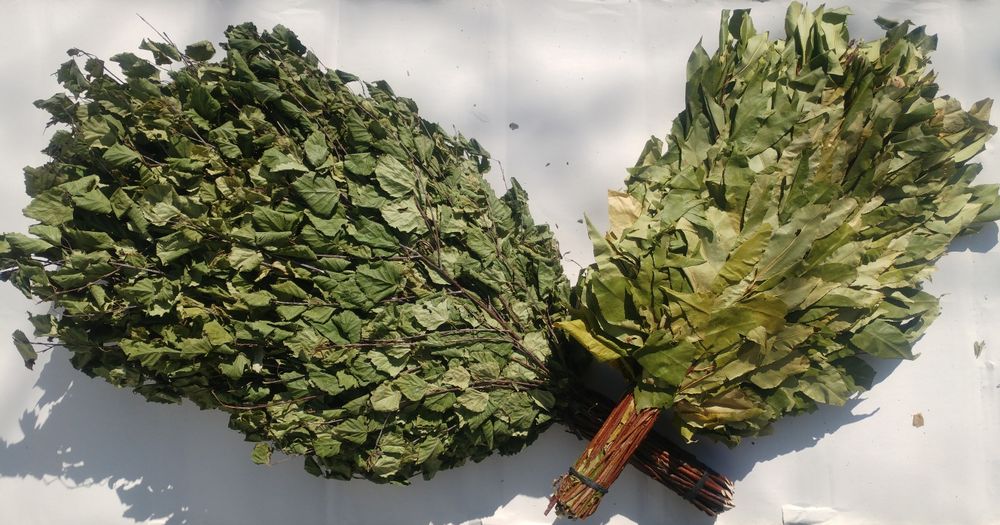 Банні віники. Канадський дуб, береза, вишня баня Банные веники