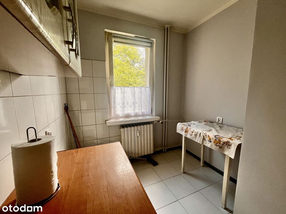 Mieszkanie 60,5 m² | 1 piętro | Leszno - Widok 4