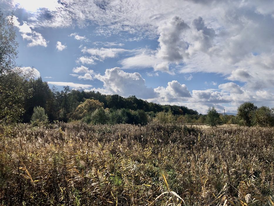 Продаються три земельні ділянки