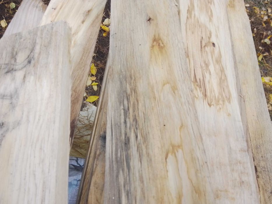 Nowa Deska podłogowa, dąb