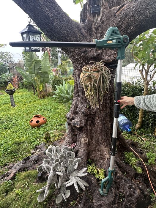 corta-cebes  com bateria