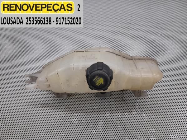 Vaso Expansao / Radiador RENAULT Clio III (BR0/1, CR0/1)
