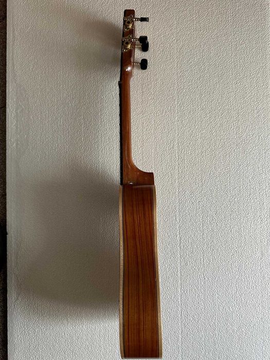 Cavaquinho Terra Madre luthier assinado – Edição especial