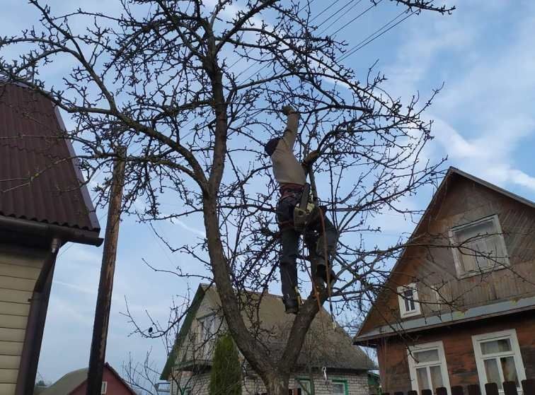Спил деревьев веток ,аварийных сухие .