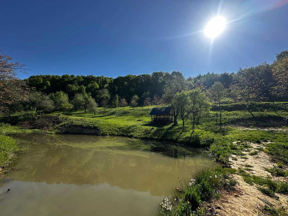 Продається дача в с. Бедевля