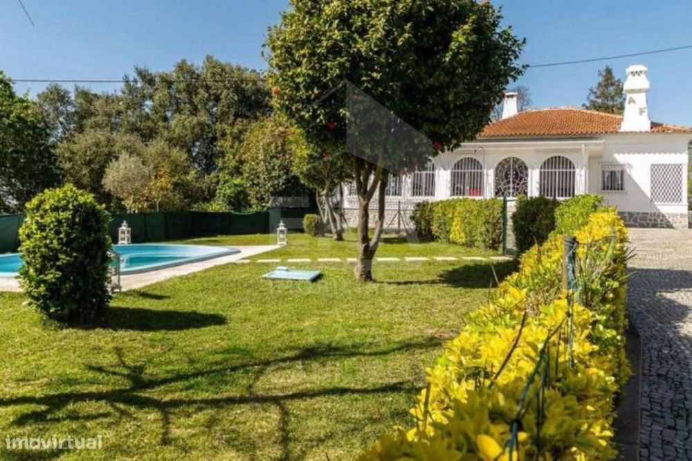 O Equilibrio Perfeito entre Lazer e Investimento