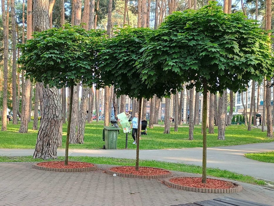 Ірпінь, парк "Центральний", оренда однокімнатної квартири.