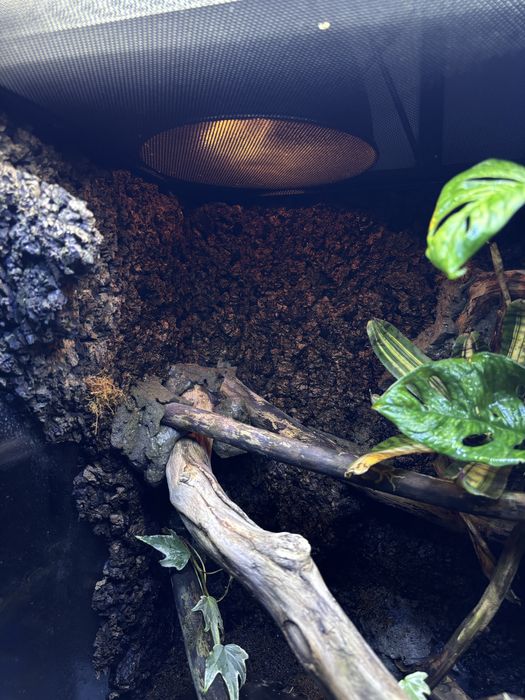 Paludarium 60x45x90
