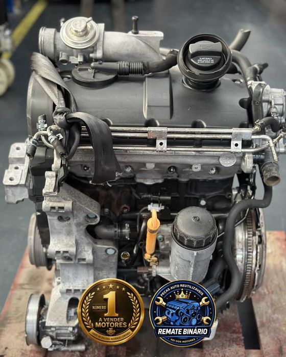 Motor ARL/ASZ 1.9 TDI 150 CV