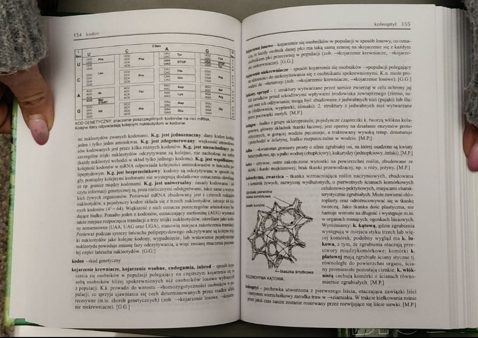 Repetytorium Biologia + Słownik Szkolny Biologia ( Stan B. Dobry)