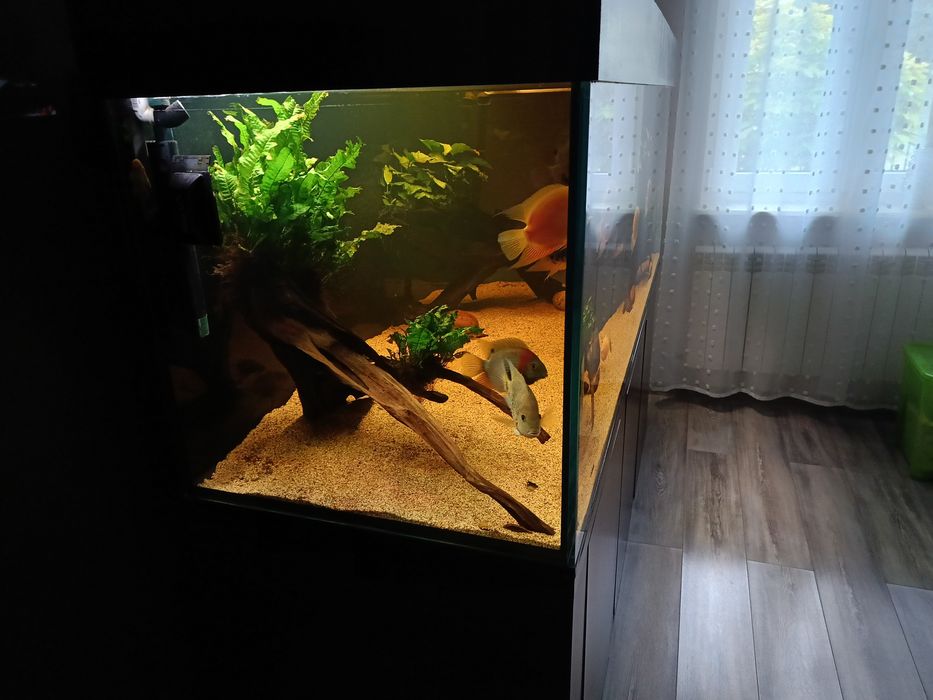 Akwarium 980 l (Zestaw)