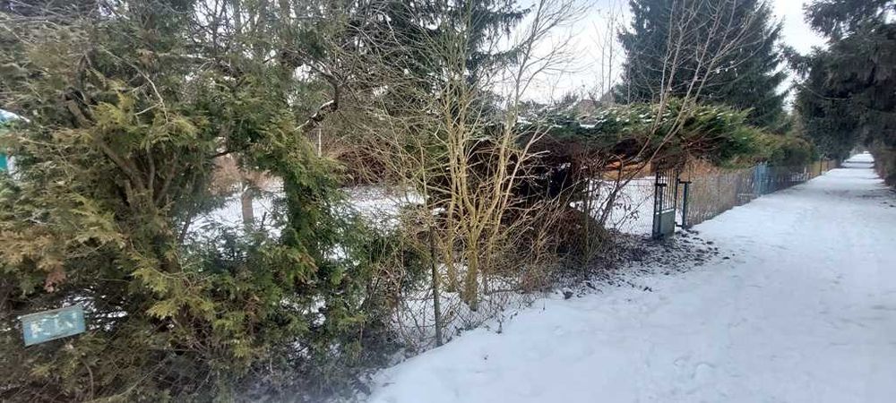 Działka ROD Żerżeń (Wawer) – Twoja oaza blisko natury! - Widok 2