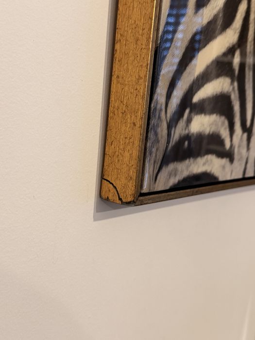 Quadro Zebra.462342082937507844