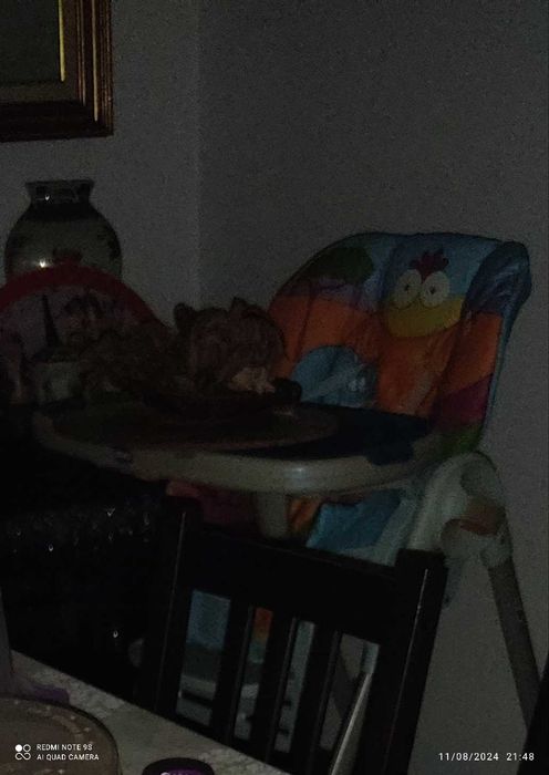 Cadeira de alimentação