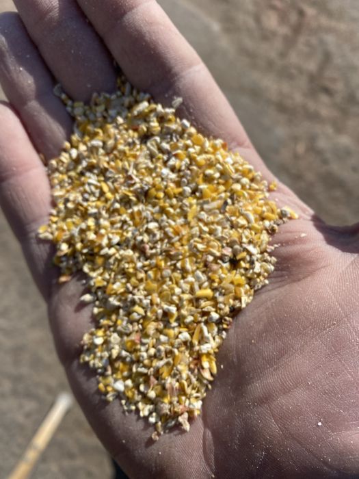 Продам кукурудзу крупа висівка