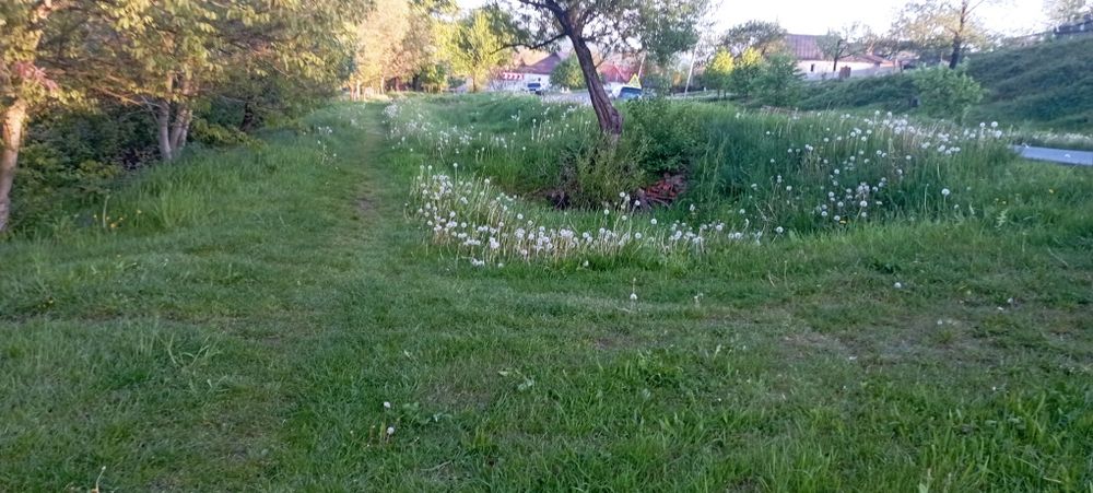 Продам ділянку у рекі Пеня Солочин 6 соток