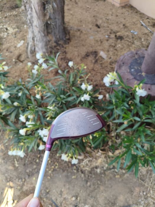 Ping Driver GLe2 (Senhora)
