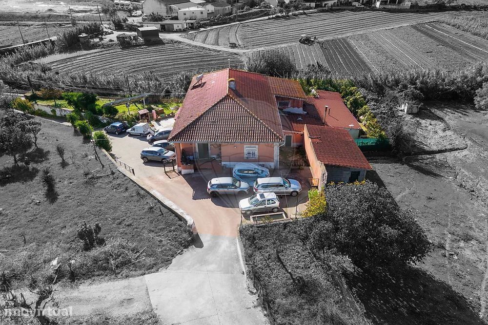 Quinta T14 para venda