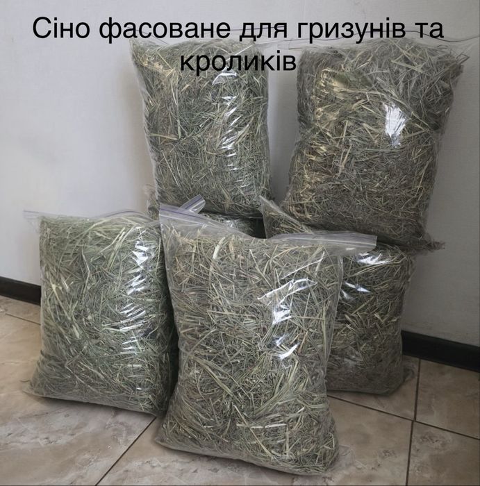 Продам Сіно для гризунів , кроликів , шиншил.