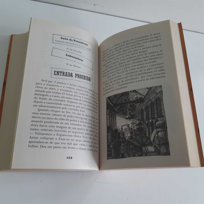 Livro Infantil Os Monstros das Caixas de Alan Snow