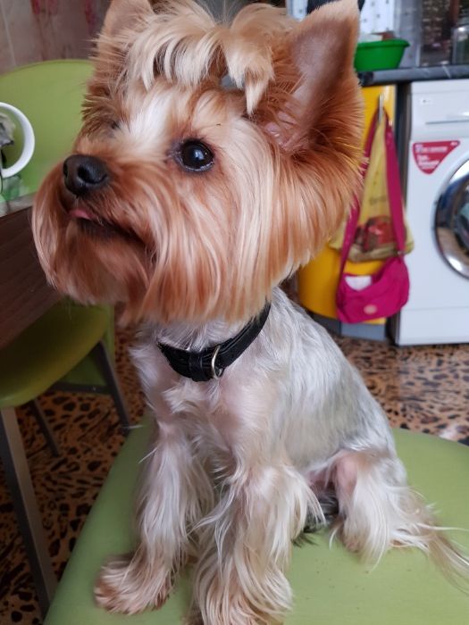 Кабель для вязки