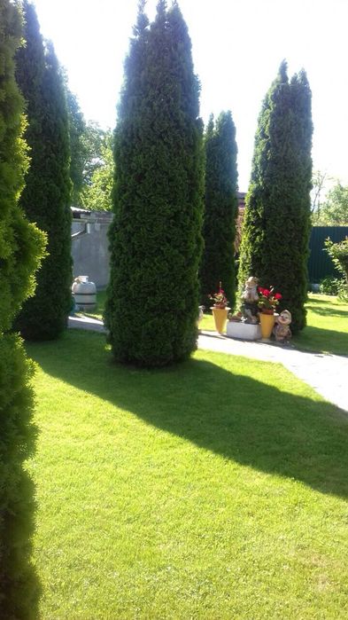 Здається  будинок в затишному місці Свалява!