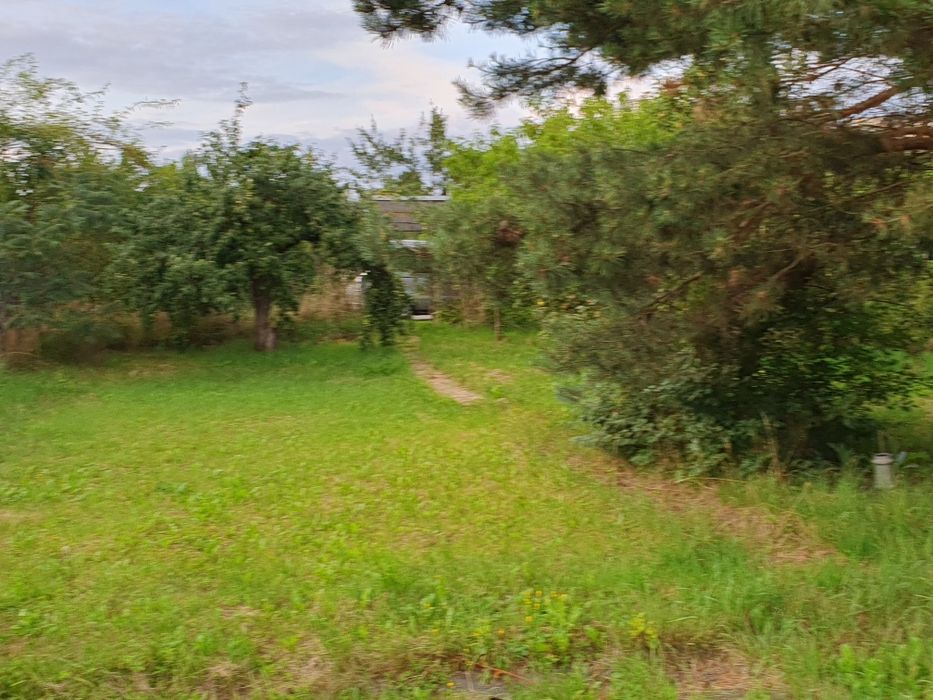 ROD Kasztelanka Zaodrze Opole