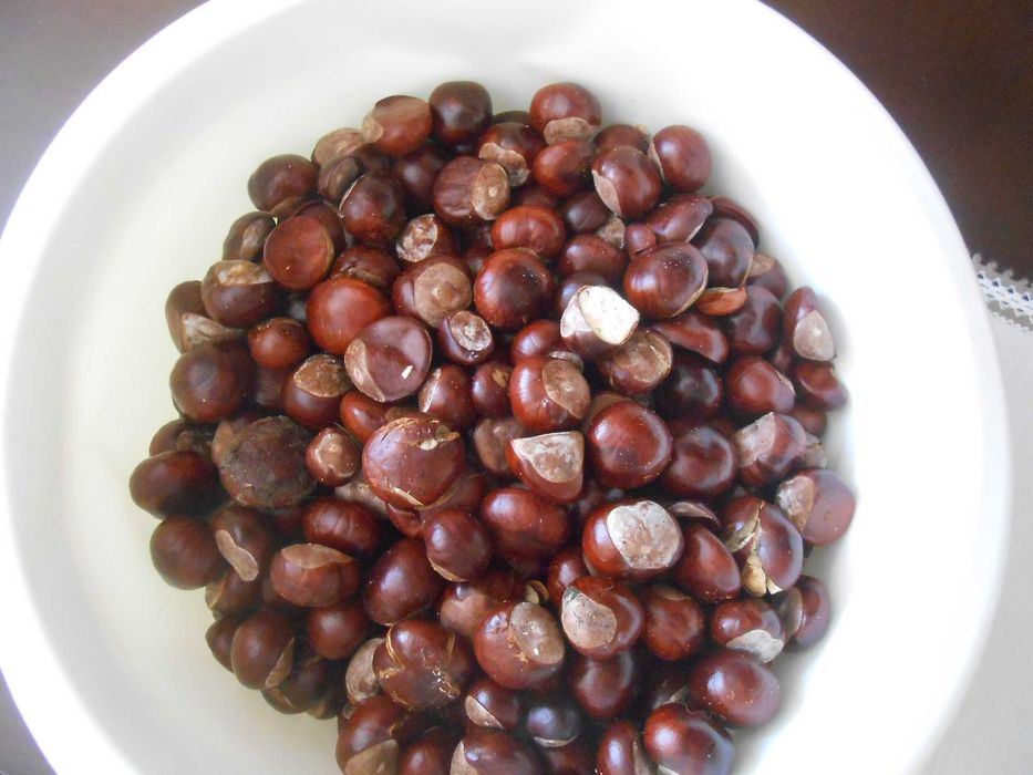 Kasztany (5-6kg)Całość
